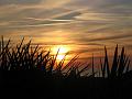 Ile.Rousse.2010 023
